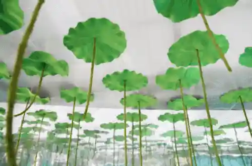 洛克王国独角兽紫藤(洛克王国紫藤150怎么弄)插图28