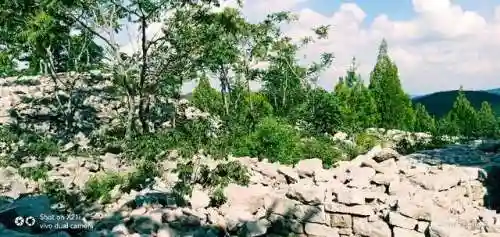 部落冲突卧虎山阵容搭配(部落冲突易守难攻的阵容)插图8