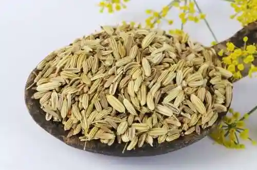 香桂饼干阵容搭配(香菱平民搭配)插图2