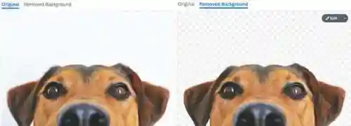 图片制作神器(常用作图软件)插图25