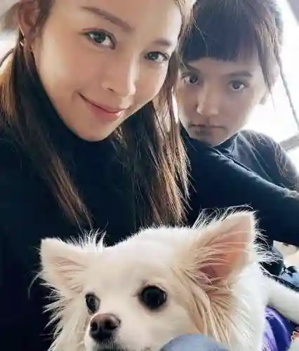 明星姐妹团阵容搭配(明星阵容最强大的一部电影)插图1 明星姐妹团阵容搭配(明星阵容最强大的一部电影)插图1
