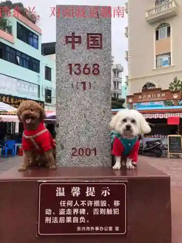 赛尔号哈莫雷特怎么获得2022(赛尔号哈莫进化图鉴)插图6