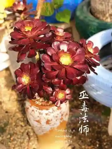 法师最牛最霸气名字(一眼就看出是玩法师的ID)插图24