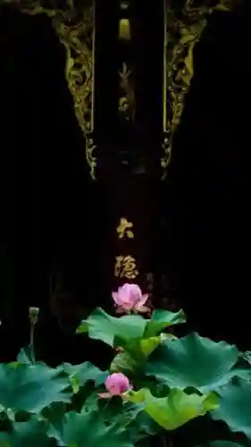 手机壁纸2022最新壁纸(手机壁纸文字)插图12