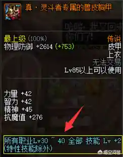 冰结师时装上衣选什么技能(dnf冰结师女装图清单)插图3