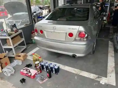 绿罩鲨阵容搭配(沙暴队最强阵容搭配)插图9