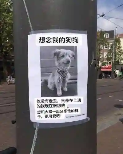 卡布西游白骨山探秘消方块(白骨山探秘阵法视频)插图25