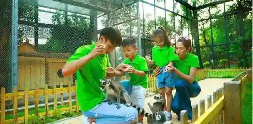 隐贤英雄阵容搭配(吕玲绮最强阵容搭配推荐)插图7