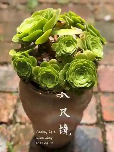 法师最牛最霸气名字(一眼就看出是玩法师的ID)插图40