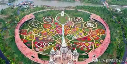 洛克王国紫藤快速获得(洛克王国紫藤150怎么弄)插图39