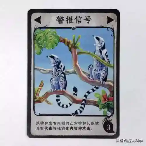 生物进化游戏(类似物种起源的进化游戏)插图9