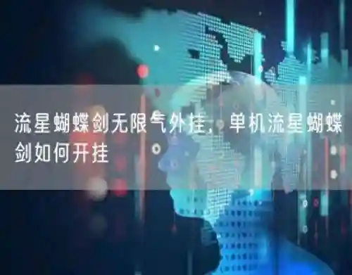 流星蝴蝶剑加人代码(流星蝴蝶剑加入NPC一键加入)
