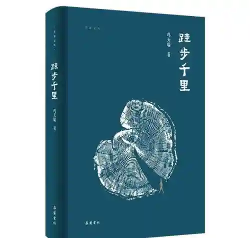 喵呜汉化组游戏(火鸟汉化组游戏合集)插图7