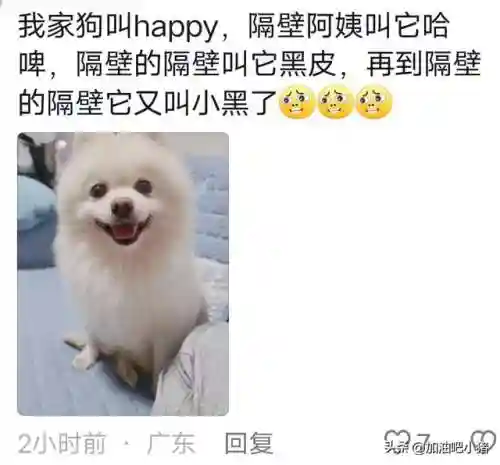 猫咪最新永久地域网名(猫咪的最新网名自动跳转)插图16 猫咪最新永久地域网名(猫咪的最新网名自动跳转)插图16
