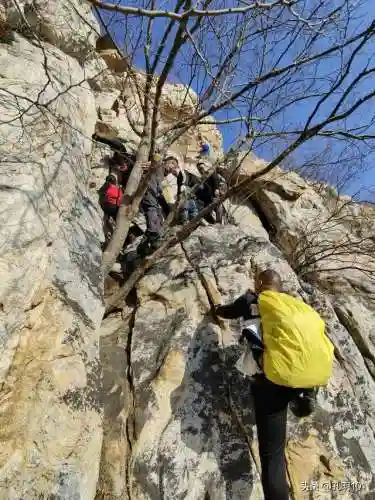 仙境游记推荐阵容搭配(歧路旅人2阵容搭配)插图4