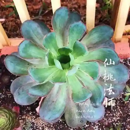 法师最牛最霸气名字(一眼就看出是玩法师的ID)插图77