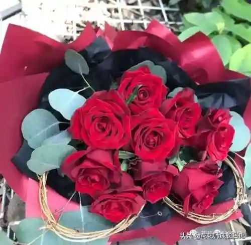传奇红玫瑰搭配阵容图片(传奇红玫瑰花介绍)插图11