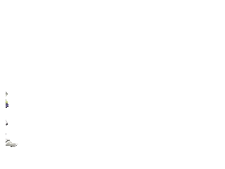 拳皇2000人物介绍(拳皇2000女性角色)插图27