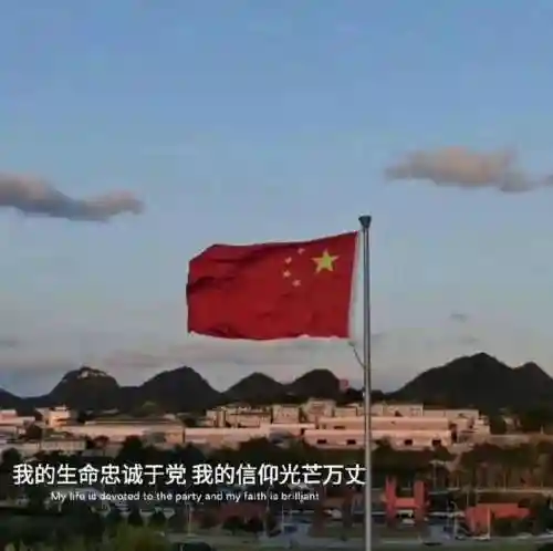 部落爱国阵容怎么搭配(部落冲突部队搭配)插图2