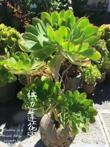 法师最牛最霸气名字(一眼就看出是玩法师的ID)插图55
