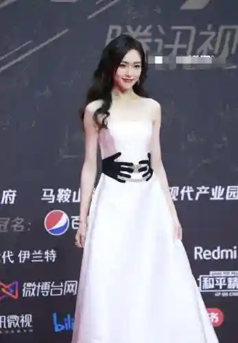 星光红毯阵容搭配图片(明星红毯造型图片)插图20