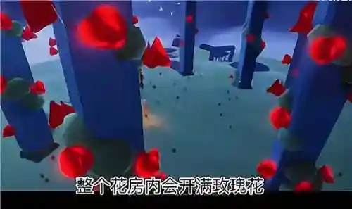 光遇小王子在雨林哪里(光遇小王子在霞谷的位置)插图14