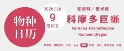 虐杀原形从成为祖宗(从虐杀原形开始无敌诸天笔趣阁)