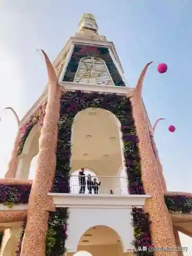 洛克王国紫藤快速获得(洛克王国紫藤150怎么弄)插图32