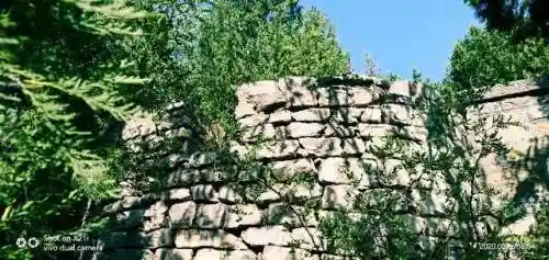 部落冲突卧虎山阵容搭配(部落冲突易守难攻的阵容)插图6