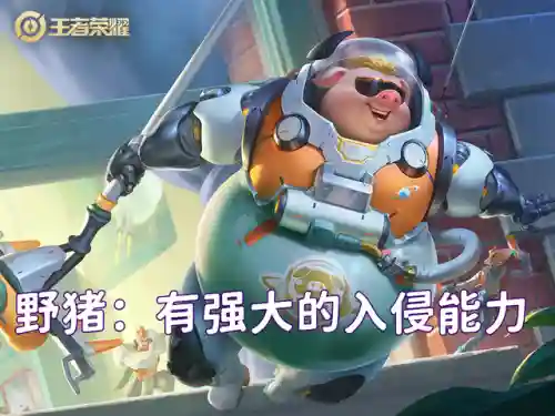 边路打野阵容搭配最新(边路最值得练的英雄)插图3