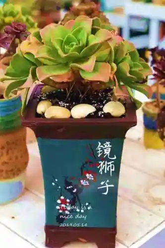 法师最牛最霸气名字(一眼就看出是玩法师的ID)插图79