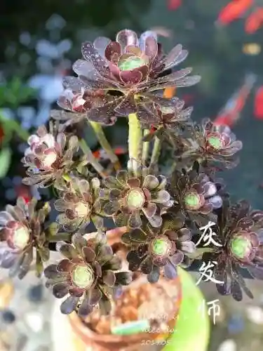 法师最牛最霸气名字(一眼就看出是玩法师的ID)插图64