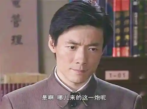 三十部优秀谍战剧(2024谍战剧排第一名)插图68