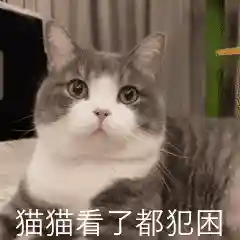 魔剑人偶阵容搭配推荐图(千劫猫阵容搭配)插图16