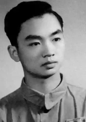 冒险娃娃阵容搭配攻略(砰砰军团阵容搭配推荐)插图4