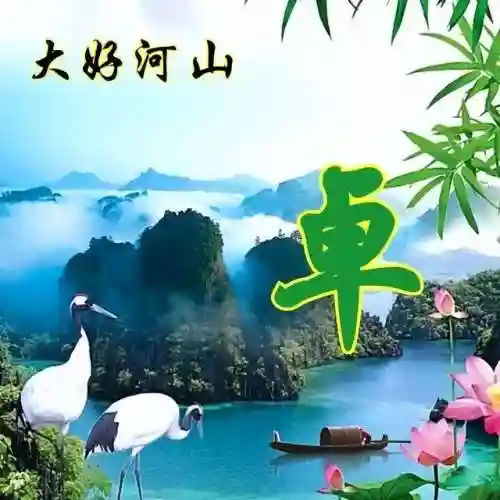 头像图片400张(2024最好运头像)插图52