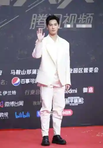星光红毯阵容搭配图片(明星红毯造型图片)插图23