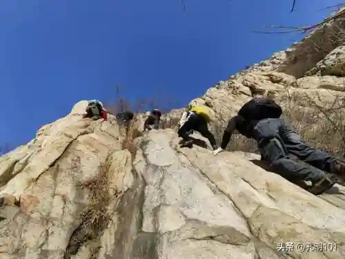 仙境游记推荐阵容搭配(歧路旅人2阵容搭配)插图2