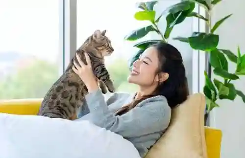 猫咪永久地域网名2023年知乎(98堂最新网名2022 fun)插图3