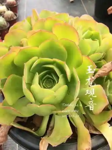 法师最牛最霸气名字(一眼就看出是玩法师的ID)插图37