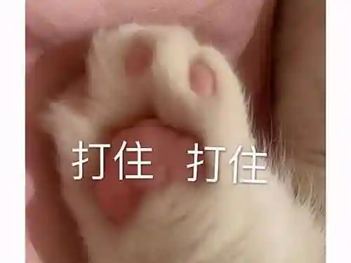 虐杀原形2隐藏结局剧情(虐杀原形2通关后干嘛)插图9