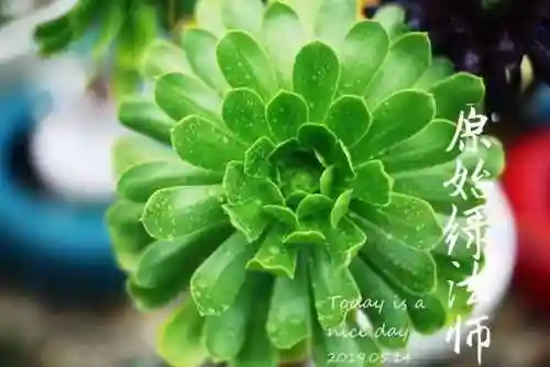 法师最牛最霸气名字(一眼就看出是玩法师的ID)插图14