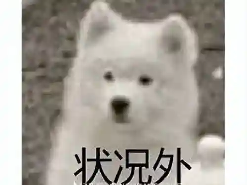 2020新手游公测时间表(最近要公测的大型手游)插图3