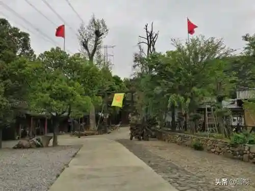 动物之战喜鹊阵容搭配推荐(动物自走棋阵容推荐)