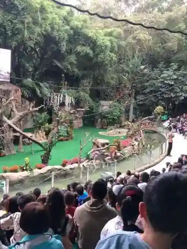 动物园大亨海洋世界(动物园大亨无限金币版下载)插图5