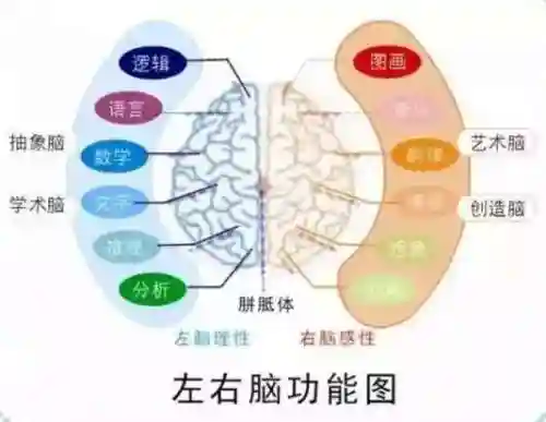 安卓囚禁类小内存纸巾盒游戏(Slg纸巾盒八部曲游戏破解)