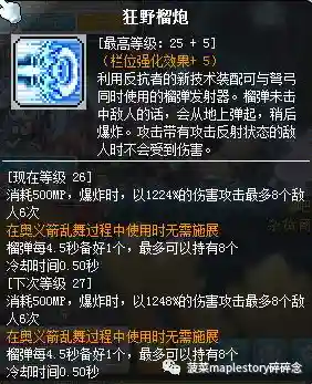 冒险岛豹弩游侠厉害吗(冒险岛豹弩稀有豹子)插图15