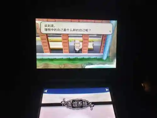 口袋妖怪黑白一周目图文攻略(pokemmo黑白一周目攻略)插图7
