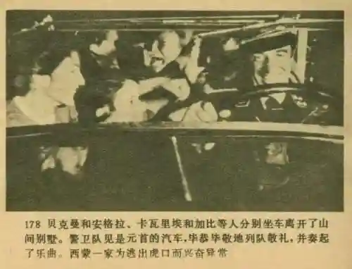 王中王马王中王资料大全(澳门王中王100%的资料)插图179