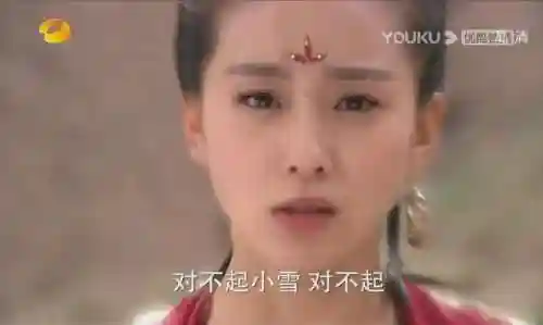原著宇文拓爱小雪还是宁珂(宇文拓的孩子是重楼吗)插图9
